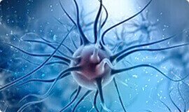 Reduz inflamações causadas por lombrigas